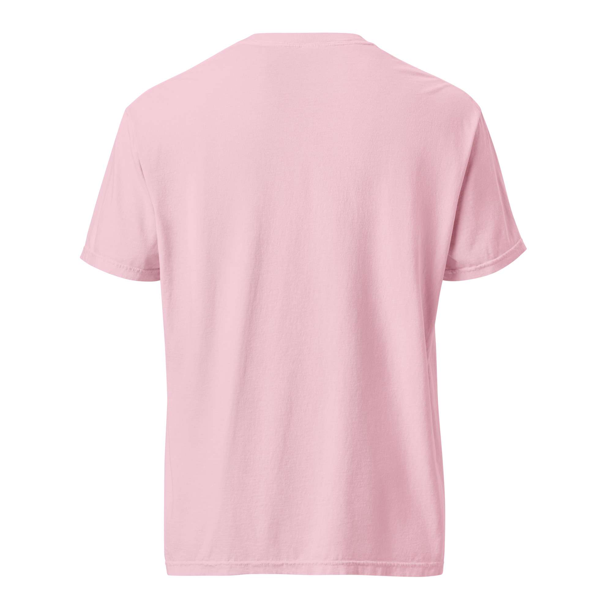 unisex-garment-dyed-heavyweight-t-shirt-red-front-6a3155c130270.jpg