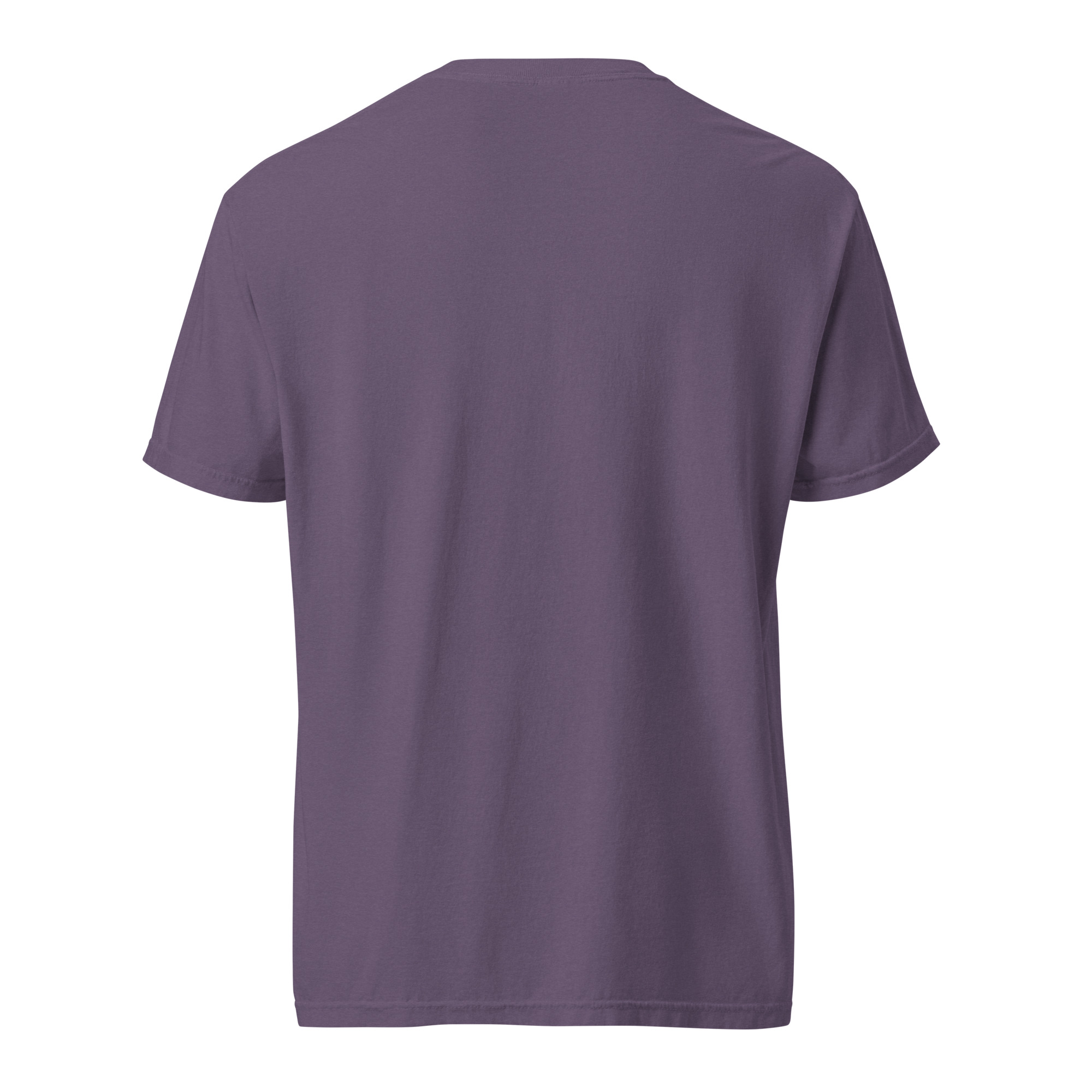 unisex-garment-dyed-heavyweight-t-shirt-red-front-6a3155c130270.jpg