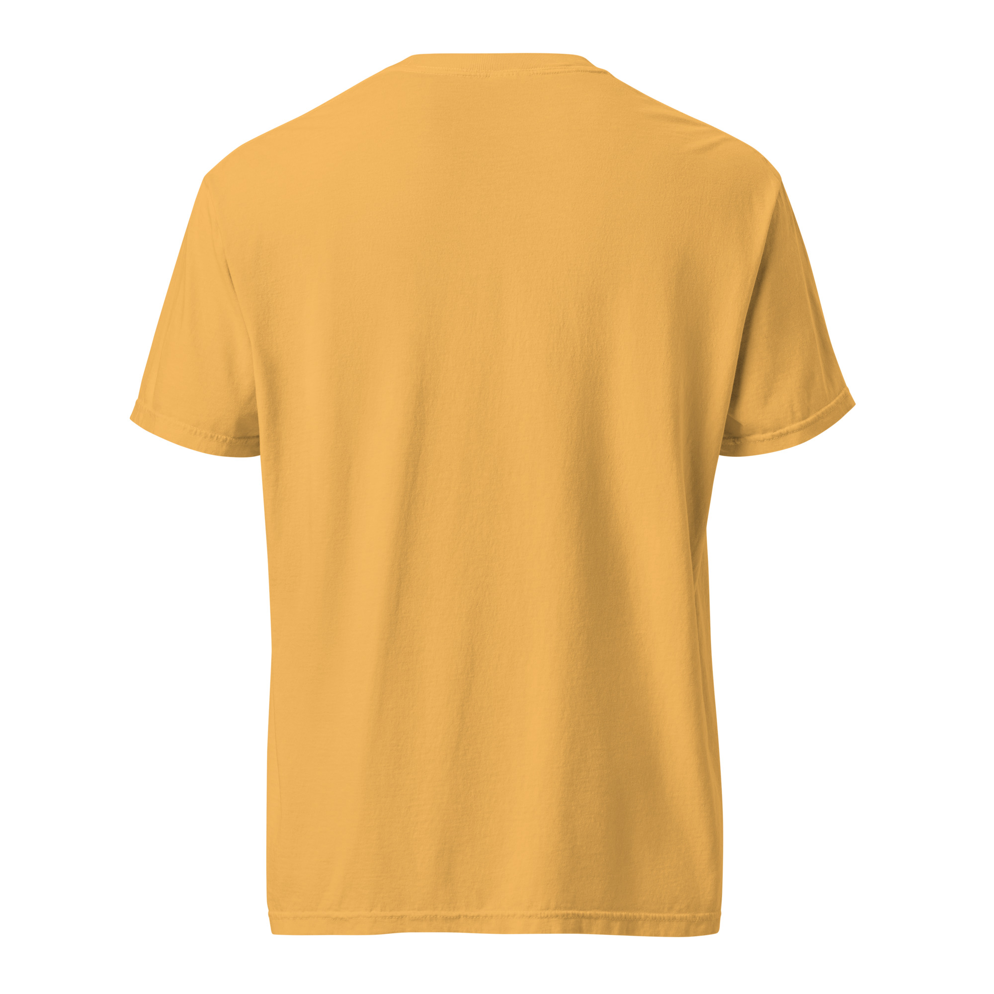 unisex-garment-dyed-heavyweight-t-shirt-red-front-6a3155c130270.jpg