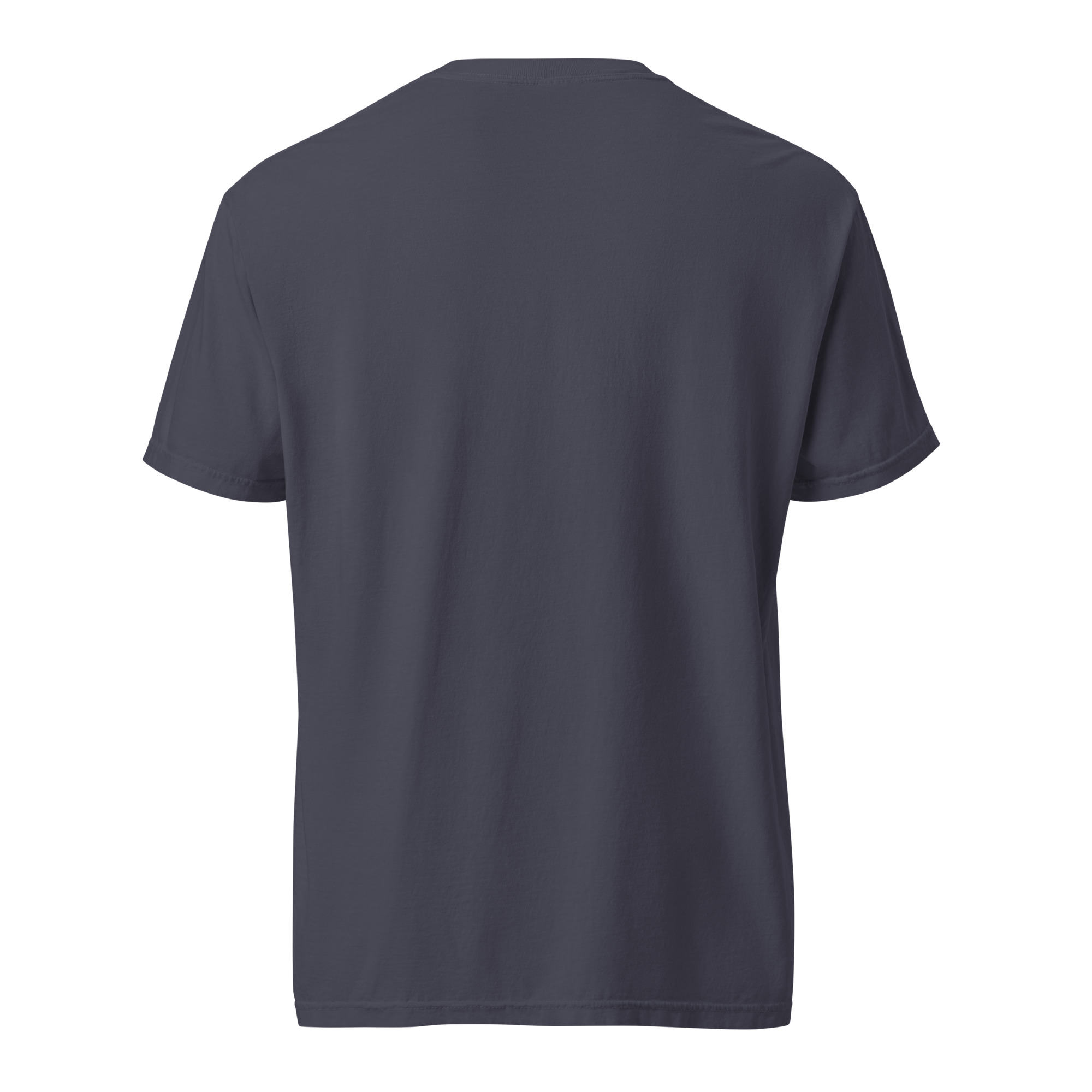 unisex-garment-dyed-heavyweight-t-shirt-red-front-6a3155c130270.jpg
