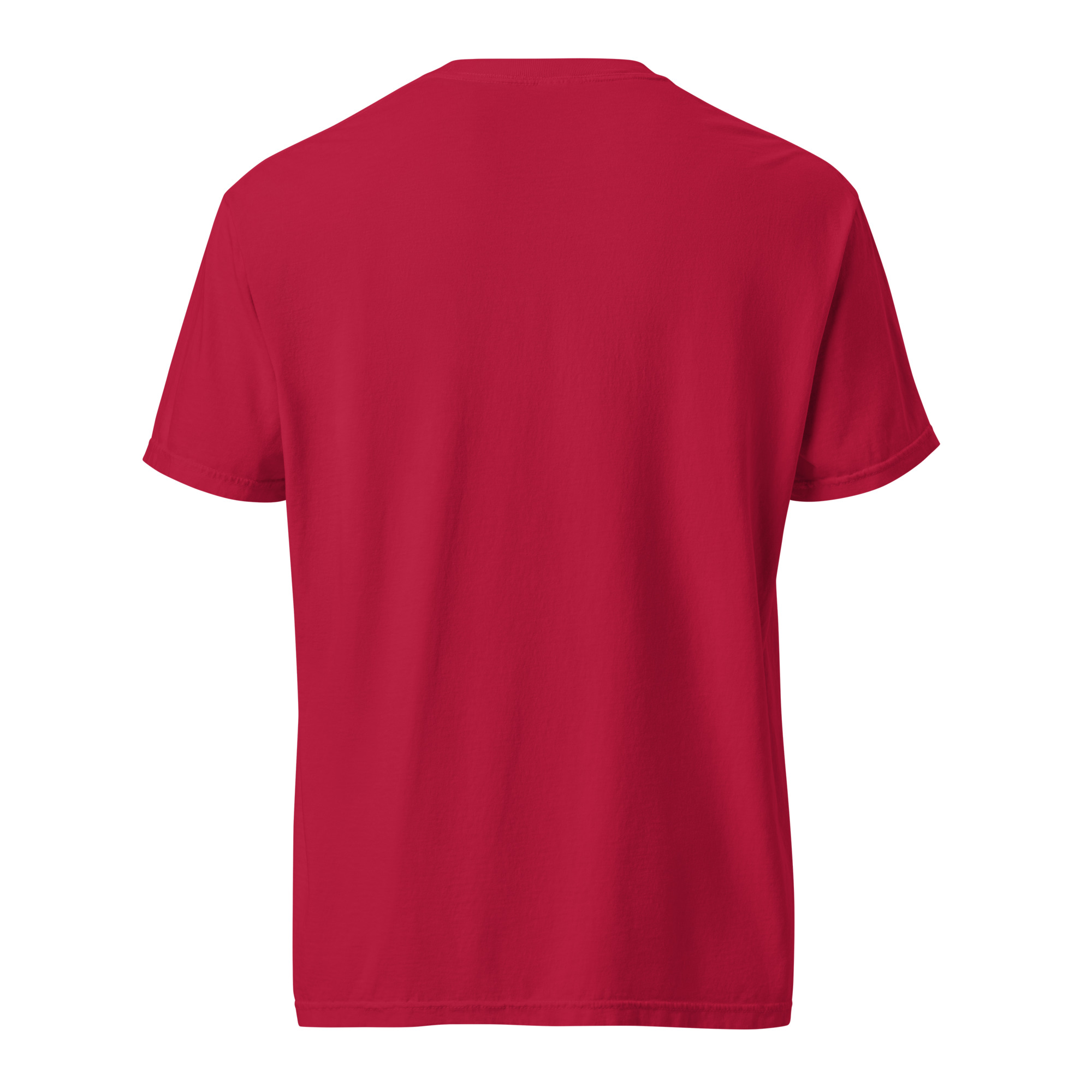 unisex-garment-dyed-heavyweight-t-shirt-red-front-6a3155c130270.jpg