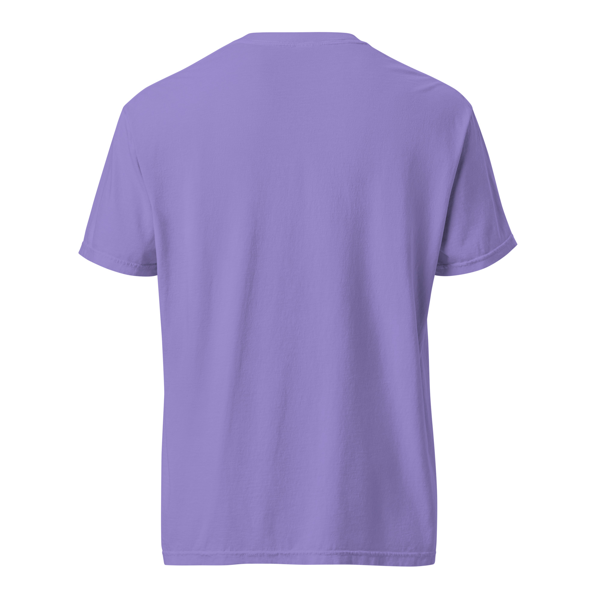 unisex-garment-dyed-heavyweight-t-shirt-red-front-6a3155c130270.jpg